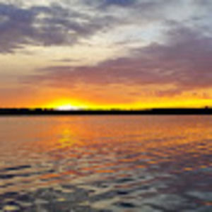 Meet your Posher, Philip